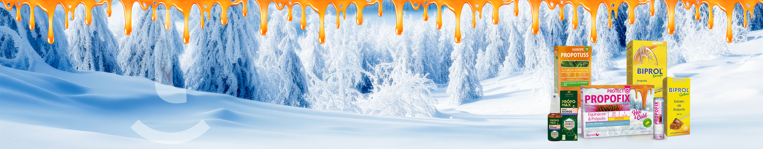 Imunidade Gripes e Constipações Main Banner