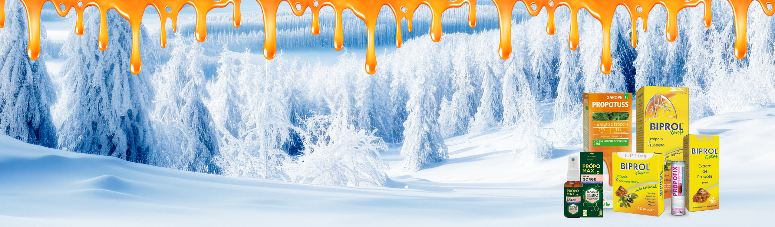 Prepara-te para o Inverno