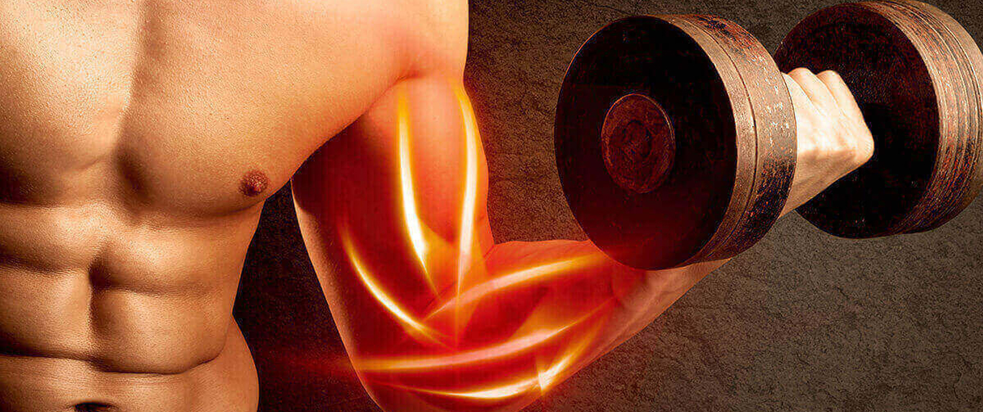 Glutamina - As 5 perguntas mais frequentes