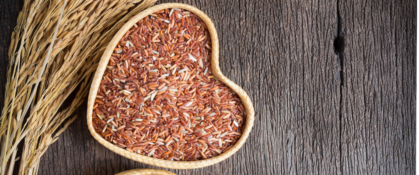 Arroz Vermelho Fermentado - Red Yeast Rice