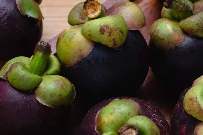 MANGOSTÃO - O segredo que veio da Tailândia