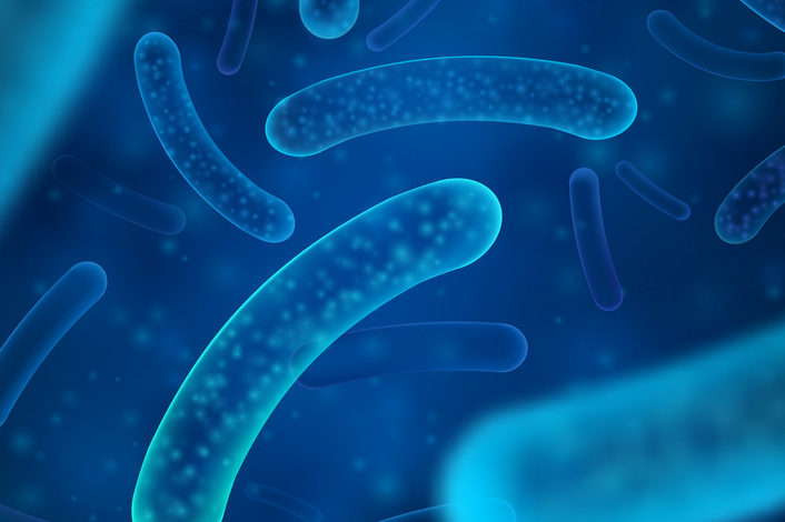 Tudo sobre os Probióticos. O que são Probióticos? Para que servem?