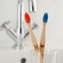 Ecoliving Escova de dentes infantil 100% vegetal - coelho azul - Ecoliving - 5060636881164