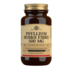 Solgar Psyllium Husks Fibre 500mg 200 Cápsulas - Solgar - 0033984023154