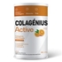 Colagenius Active Laranja pó - 345g - Colagénius - 5606890000059