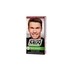 Just For Men Coloração em Champô Castanho Escuro - Just For Men - 8413853402020