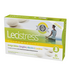 Lecistress Ampolas - Bio-Hera - 5604514000102