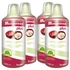 4 Garrafas Mangosteen Plus 1L - Fharmonat - 2607x4