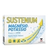 Sustenium Magnésio Potássio 14 Saquetas - Sustenium - 7753285