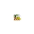 Dr. Organic Stick-Anti-Imperfeições Melaleuca Bio 8ml - Dr. Organic - 5060176672222