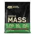 Optimum Nutrition Serious Mass Chocolate 5,45KG - Optimum Nutrition - 5060245600446