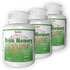 Pack 3 Brain Memory - 90 cápsulas - Kyolic - Kyolic - KY35049x3