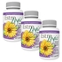 Pack 3 Estro-Logic - Menopausa - 60 cáps. Kyolic - Kyolic - KY35546x3