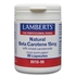 Lamberts Beta Caroteno Natural 15 Mg. 90 Cápsulas - Lamberts - NH801890