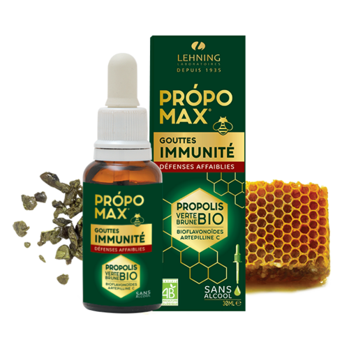 Própomax Gotas de Própolis EPP-AF 60% Sem Álcool - Própomax - 3661744050156
