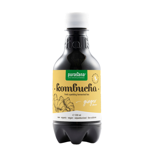 Kombucha Drink Fresh Gengibre - Purasana - Purasana - 5400706617994