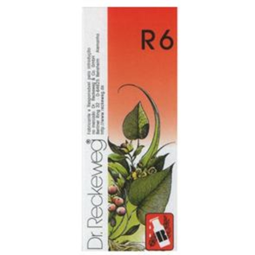 Dr. Reckeweg R6 Gotas 50ml - Dr. Reckeweg - 5605481703065