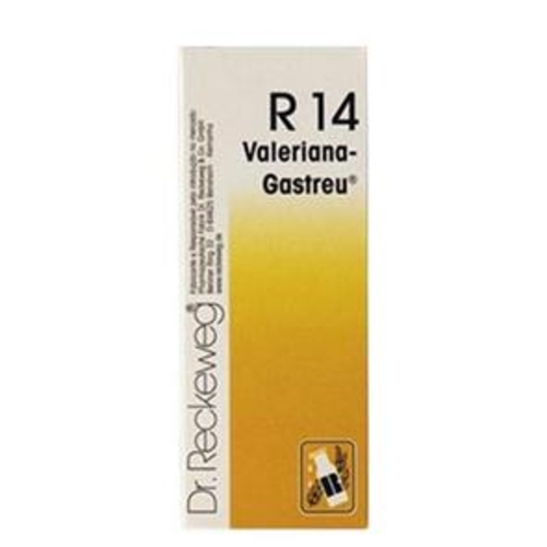 Dr. Reckeweg - R14 Gotas 50ml - Dr. Reckeweg - 5605481703133