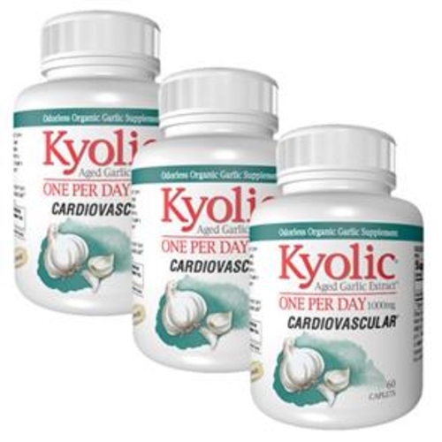 Pack 3 Kyolic One Per Day (1000 mg) - Alho - Kyolic - 4019x3