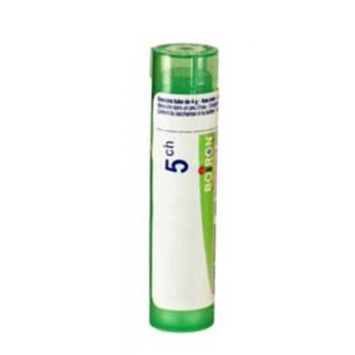Boiron Pulmo Histaminum 5Ch - Validade Curta 07/25 - Boiron - 7333245